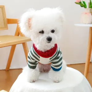 Colorful retro striped dog sweater in knit fabric for small pets on a bichon frise