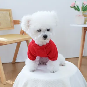 Detail showing red thick-knit pet sweater with high neck collar on small white dog