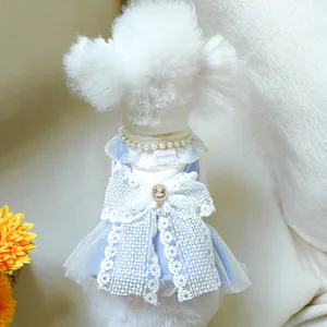 Detail view of light blue pet dress featuring lace bow, cameo brooch and pearls