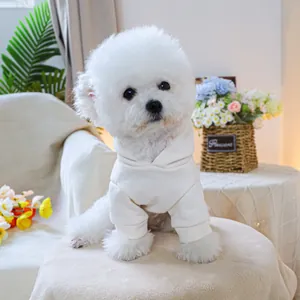 White hooded dog sweatshirt with sleeves for small dogs in cozy autumn setting