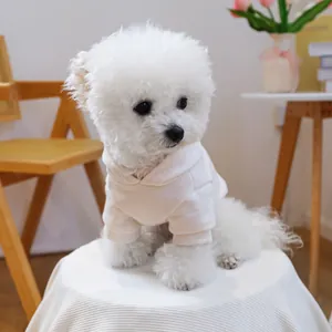 Detailed view of white pet hoodie with ribbed cuffs on a small Bichon dog