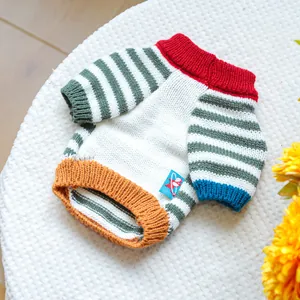 Close-up of colorful striped pet sweater with vibrant red collar and knit texture
