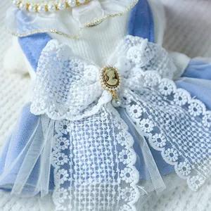 Close-up of pet dress showing lace bow, pearl brooch, and blue velvet court style details