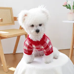 Close-up of red and white diamond pattern knit dog sweater on a Bichon Frise