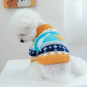Detail of multi-color knitted dog sweater with dinosaur pattern on a white Bichon Frise