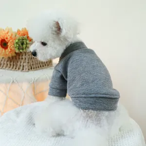 Close-up of a grey dog sweatshirt with ribbed cuffs on a white Bichon Frise dog