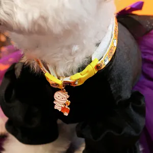 Close-up of Halloween pet collar with pumpkin prints and mummy enamel charm detail