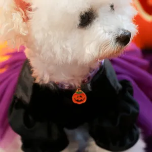 Close-up of Halloween pet dress featuring a purple collar and orange pumpkin charm