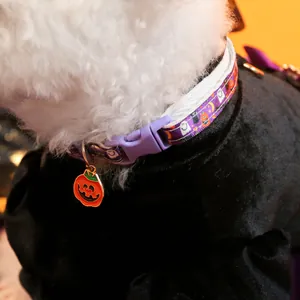 Close-up of Halloween pet collar with pumpkin and ghost patterns on white dog