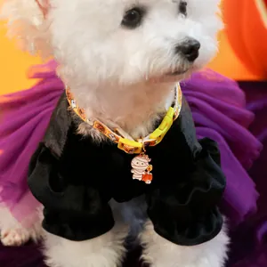 Halloween pet dress set with black velvet skirt and orange pumpkin pattern collar