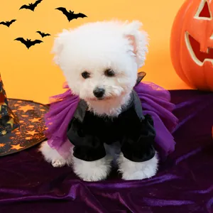 Detail of pet Halloween dress with black velvet top and purple tutu on a small dog