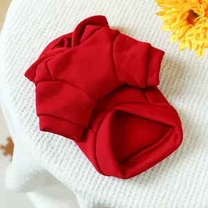 Detail of red pet sweatshirt with ribbed cuffs on a white knit background with sunflower
