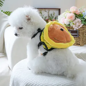 Mochila para perros con forma de león y arnés ajustable en un pequeño Bichón Frisé