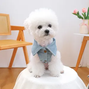 Close-up of pet light blue denim jacket with brown buttons on a small white dog