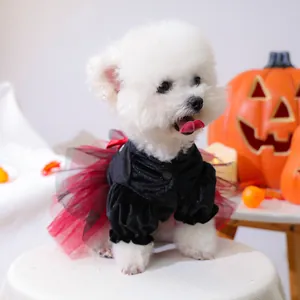 Detail of Halloween dog dress with black velvet top and red tutu skirt on bichon frise