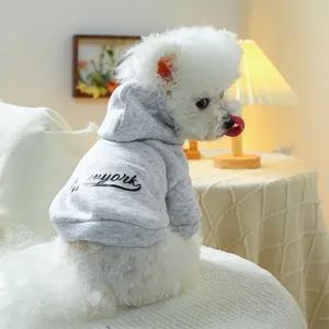 Close-up of a white dog wearing a grey Newyork hoodie in a warm indoor setting
