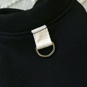 Macro shot of silver D-ring and durable woven webbing on black pet vest harness