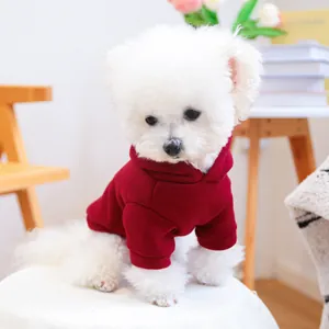 Sweat à capuche rouge pour petits chiens et chats porté par un bichon blanc dans un salon