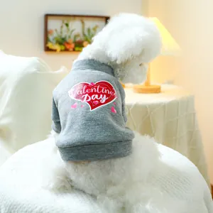 Grauer Hundepullover mit rotem Valentine's Day Herzprint an einem weißen Bichon Frisé