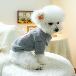 Detail eines grauen Hunde-Sweatshirts an einem Bichon mit rotem Logo und weichem Strick