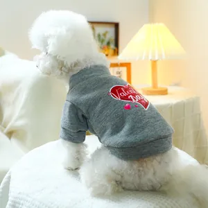 Grauer Hundepullover mit Herzprint für Valentinstag an einem weißen Bichon Frisé