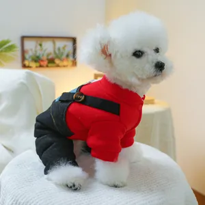 Detailed view of a small dog wearing a red warm sweatshirt and denim overalls outfit