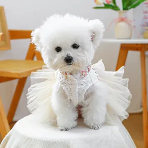 Close-up of pet dress showing intricate lace texture and colorful beadwork on the collar