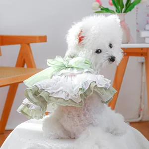 Detail of layered white lace and light green chiffon dog dress with organza bow
