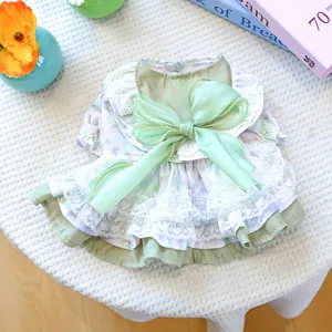 Detailed view of dog dress with green floral patterns, silk bow, and lace heart embroidery