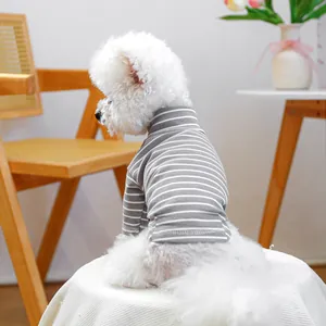 Close-up of a Bichon dog wearing a grey and white striped turtleneck pet sweater