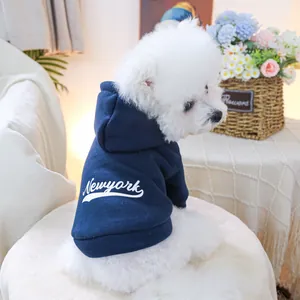 Dettaglio di un piccolo cane bianco che indossa una felpa Newyork blu navy a casa