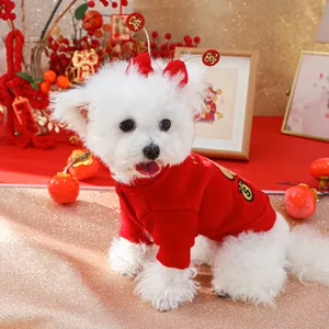 Close-up of festive red dog hoodie with gold money bag embroidery and festive headband