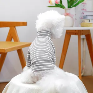 Close-up of a white dog wearing a grey and white striped turtleneck pet sweater