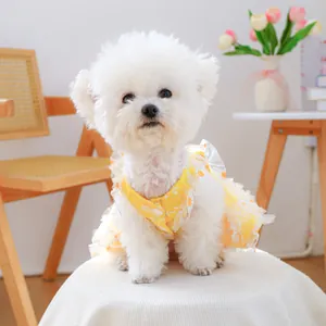Detail of yellow daisy dog dress with white lace trim on a small white Bichon