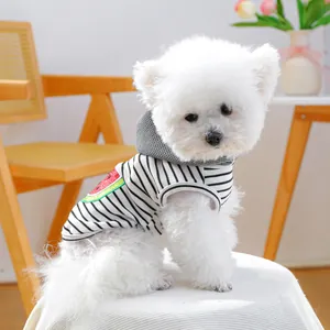 Striped pet hoodie for small dogs with watermelon embroidery on a white Bichon dog