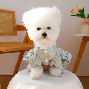 Detail eines hellgrünen karierten Hundekleids mit Spitze und elegantem Rüschenkragen