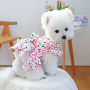 Close-up of pink floral dog dress with white lace trim and large back bow on Bichon
