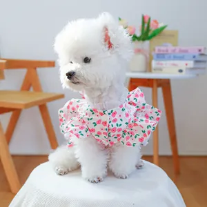 Close-up of floral pet summer dress featuring white lace collar and delicate buttons