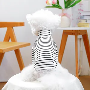 Close-up of small white dog wearing black and white striped turtleneck pet sweater