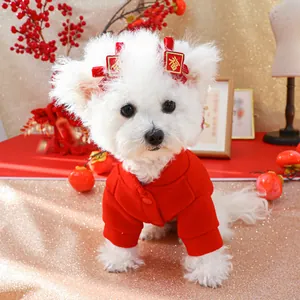 Detail of red pet New Year vest and hair clips with gold embroidery on a white dog