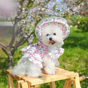 Close-up of small dog floral dress and sun hat set on a white bichon frise model