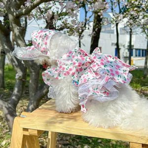 Close-up of pink floral dog dress with lace trim and matching sun hat for small dogs
