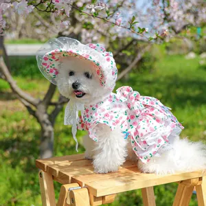 Outdoor close-up of a small dog in a floral dress with matching lace sun hat