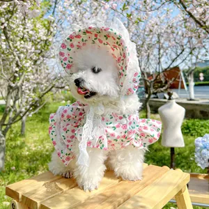 Floral pet dress and lace sun hat set on a white small dog in outdoor cherry blossoms