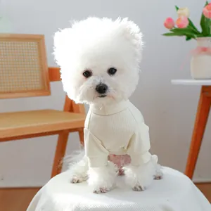 Gros plan d'un pull en maille côtelée crème pour petit chien dans un décor cosy
