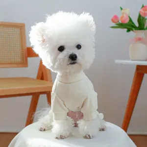 Gros plan d'un pull en tricot blanc pour petit chien dans un décor de maison confortable
