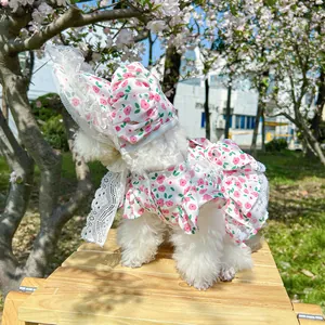 Detail of floral pet dress set with lace trim and matching sun hat on a small white dog