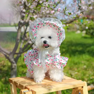 Detailed view of pink floral dog dress and matching lace sun hat for small pets