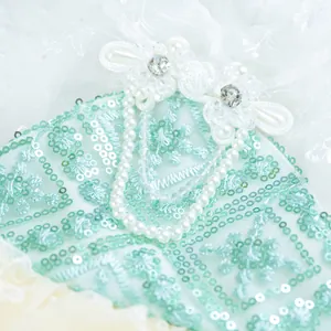 Primo piano dettagliato dell'abito per animali verde menta con paillettes, perle e strass.