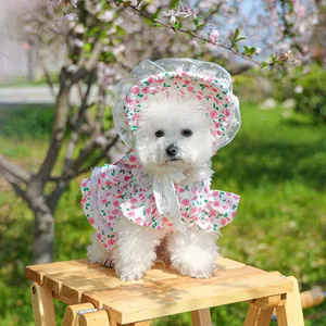 Detail of floral pet sun hat with lace trim and matching dress for small dogs